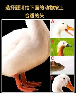 指鼠为鸭表情包，鼠头鸭脖事件搞笑图