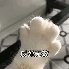反弹无效