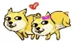 doge