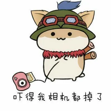 吓得我相机都掉了