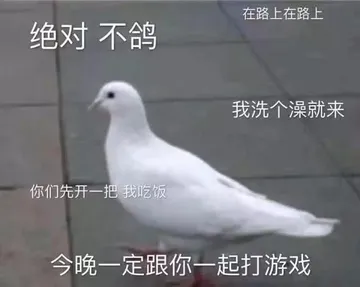 绝对不鸽