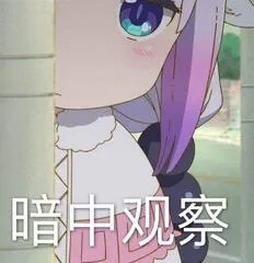 暗中观察