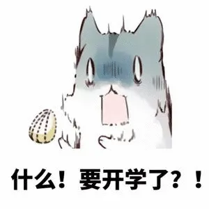 什么!要开学了