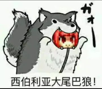 西伯利亚大尾巴狼!
