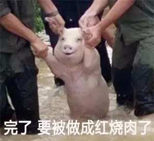 你：我不要面子的啊？