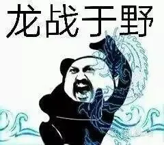 龙战于野