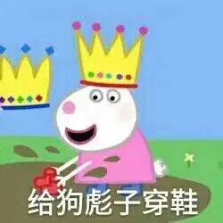 佩奇V
