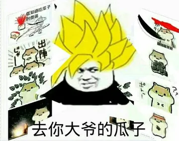 仓鼠跟瓜子:去你大爷的瓜子