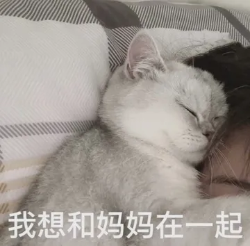 我想和妈妈在一起
