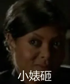小婊砸
