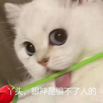 丫头 眼神是骗不了人的