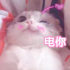 电你