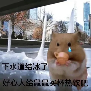 下水道结冰了好心人给鼠鼠买杯热饮吧