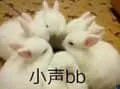 微信网友贡献表情包暂存有时间慢慢整理