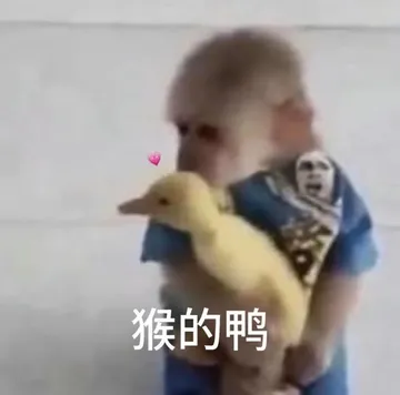 猴的鸭