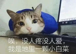 唉,没人疼没人爱我是地里一颗小白菜
