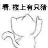 看，楼上有只猪
