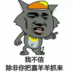 我不信.除非你把喜羊羊抓来!