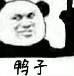 鸭子 memes