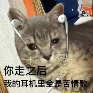 你走之后我的耳机里全是苦情歌