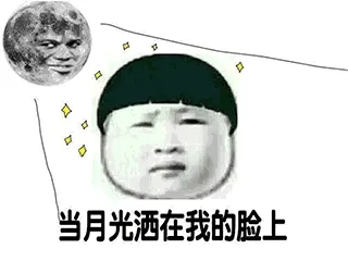 当月光洒在我的脸上，我想我就快变了模样，有一种叫做撕心裂肺的汤，喝了它有神奇的力量，闭上眼看见天堂，那是藏着你笑的地方，我躲开无数个猎人的枪，赶走坟墓爬出的忧伤，为了你染上了疯狂，为了你穿上厚厚的伪装，为了你我变成狼人模样，为了你换了心肠，