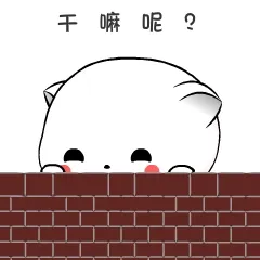 棉花球