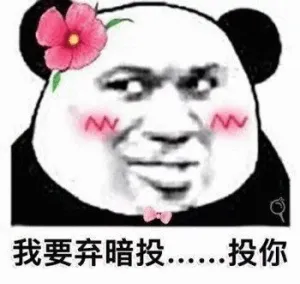 我要弃暗投-投你