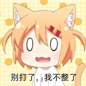 猫咪日常00010-别打了我不整了