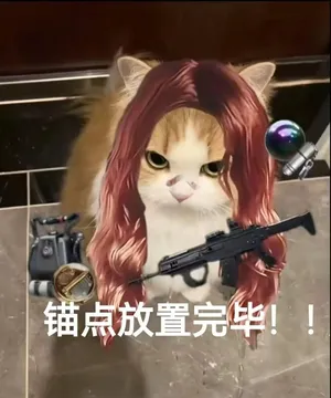 你有哪些好玩的《三角洲行动》表情包?