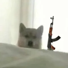 doge狗狗拿枪动图表情包