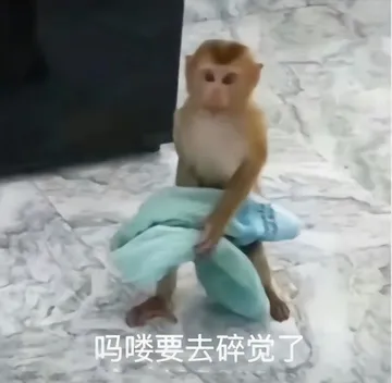 吗喽要去碎觉了