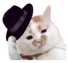 猫猫表情包