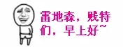 雷地森，贱特们，早上好。