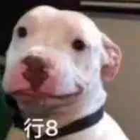 行8