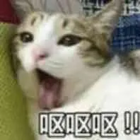 哎呕呕