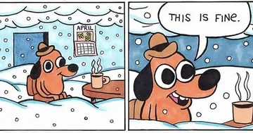 this is fine snow