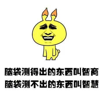 脑袋测得出的东西叫智商 脑袋测不出的东西叫智慧