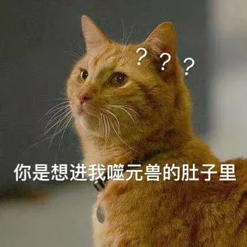 你是想进我噬元兽的肚子里？？
