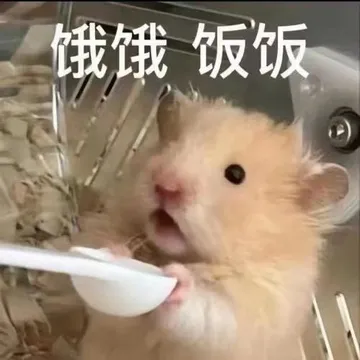 饿饿饭饭