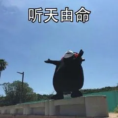听天由命
