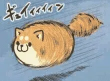 飞狗
