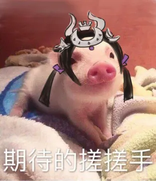 期待的搓搓手