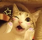 媚眼抛不断