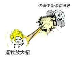 带我放大招（这逼还是你装得好）