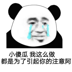 小傻瓜我这么做都是为了引起你的注意阿