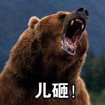 儿砸！（灰熊）