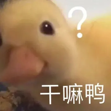 干嘛鸭