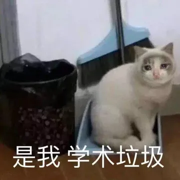 是我 学术垃圾