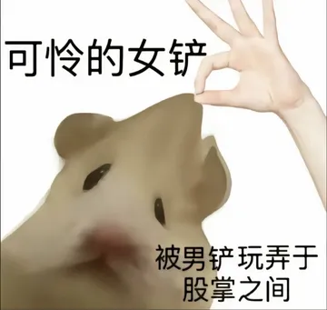 金铲铲搞笑表情包系列（铲不铲、我要玩铲子）
