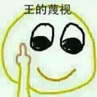 竖中指：王的蔑视